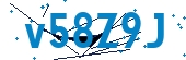 recaptcha